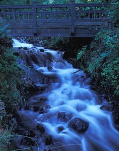 bridge-stream